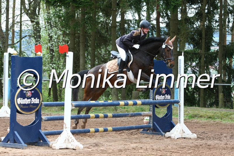 204M9037_Lancelot_Stil Ax.JPG